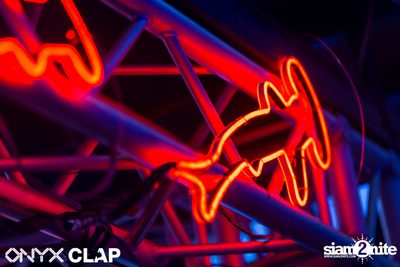 CLAP x Grey Goose: Cruise Club Party at ONYX — photo 13