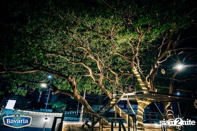 Bavaria 300 YRS the PARTY at Triple G Restaurant — photo 41