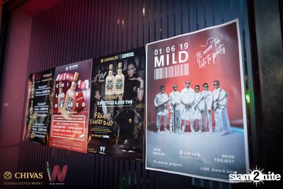 Warb x Wine Bridge Plus present MILD — photo 59