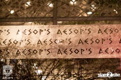 งาน Aesop's Bangkok First Anniversary — photo 160