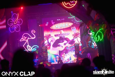 CLAP & Grey Goose pres. ALOHA Party at ONYX — photo 32