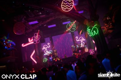CLAP & Grey Goose pres. ALOHA Party at ONYX — photo 49