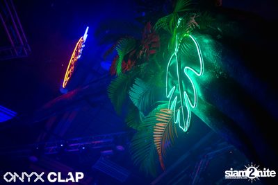 CLAP & Grey Goose pres. ALOHA Party at ONYX — photo 50