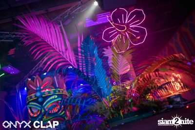 CLAP & Grey Goose pres. ALOHA Party at ONYX — photo 56