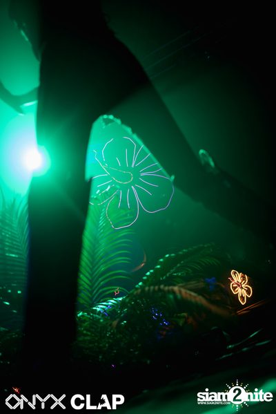 CLAP & Grey Goose pres. ALOHA Party at ONYX — photo 76