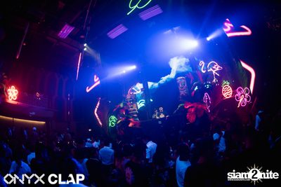 CLAP & Grey Goose pres. ALOHA Party at ONYX — photo 89