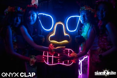 CLAP & Grey Goose pres. ALOHA Party at ONYX — photo 99