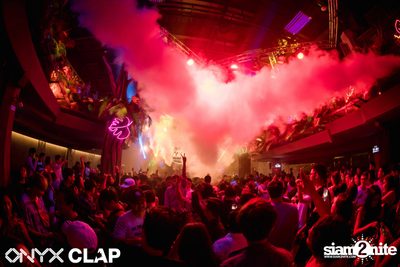 CLAP & Grey Goose pres. ALOHA Party at ONYX — photo 102