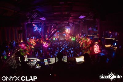 CLAP & Grey Goose pres. ALOHA Party at ONYX — photo 112