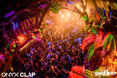 CLAP & Grey Goose pres. ALOHA Party at ONYX — photo 120