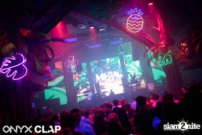 CLAP & Grey Goose pres. ALOHA Party at ONYX — photo 146