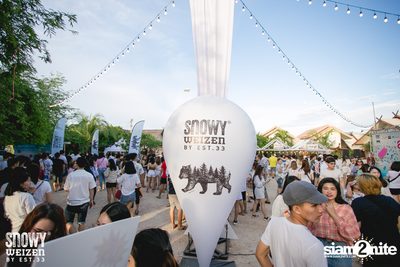 Snowy Weizen pres. Concert Sai Noom: On The Beach — photo 10