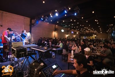 Polycat at 20Something Bar — photo 3