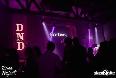 Tease Project presents Lipta at DND Club — photo 44