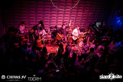 The TOYS at TDERM — photo 112