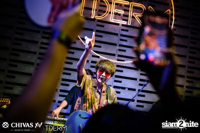 The TOYS at TDERM — photo 133