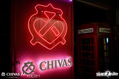 ChivasX presents The Parkinson at TDERM — photo 2