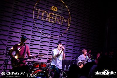 ChivasX presents The Parkinson at TDERM — photo 55