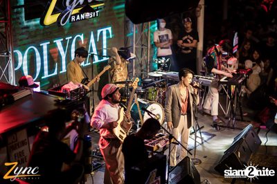 Polycat ที่ ซิงค์ รังสิต — photo 173