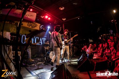 Polycat ที่ ซิงค์ รังสิต — photo 186