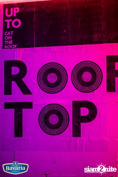 FLURE x Harmonic Distortion at Cat on the Roof — photo 10