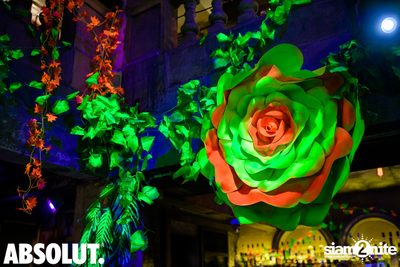 Welcome To The Jungle Party | Revolucion Cocktail — photo 4