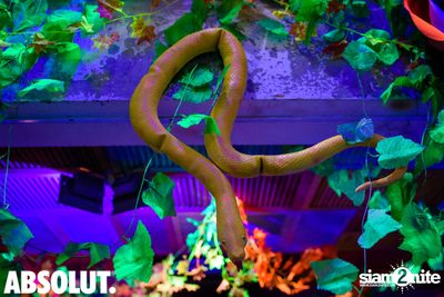 Welcome To The Jungle Party | Revolucion Cocktail — photo 5