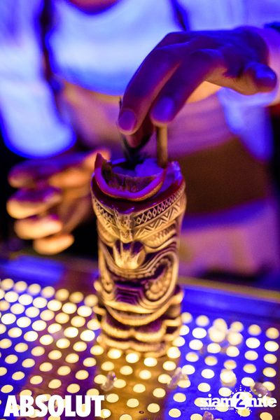 Welcome To The Jungle Party | Revolucion Cocktail — photo 13