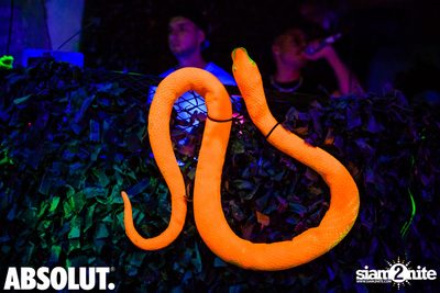 Welcome To The Jungle Party | Revolucion Cocktail — photo 29