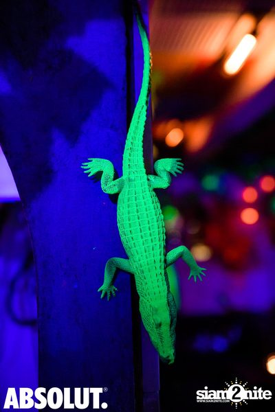 Welcome To The Jungle Party | Revolucion Cocktail — photo 38