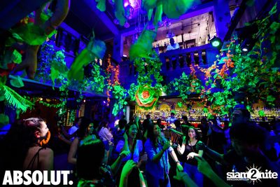 Welcome To The Jungle Party | Revolucion Cocktail — photo 48