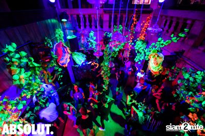 Welcome To The Jungle Party | Revolucion Cocktail — photo 59