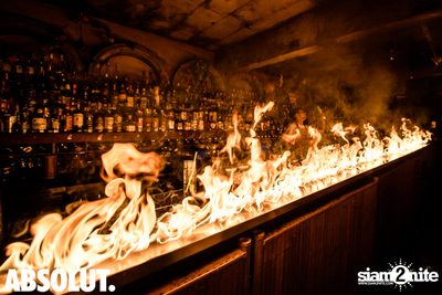 Welcome To The Jungle Party | Revolucion Cocktail — photo 84