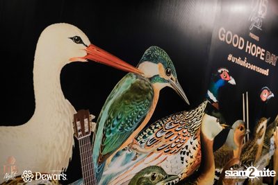 D15 Night: Good Hope Day at GMM Live House — photo 2