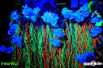 Psychedelic 6th Anniversary ที่ อินเซนิตี้ ไนท์คลับ — photo 18