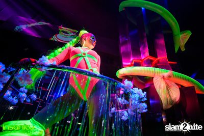 Psychedelic 6th Anniversary ที่ อินเซนิตี้ ไนท์คลับ — photo 26