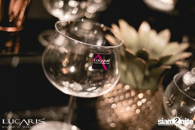 LUCARIS Launches RIMS at Vesper Bar — photo 83