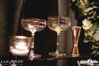 LUCARIS Launches RIMS at Vesper Bar — photo 85