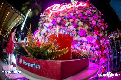 Hoegaarden Rosee pres. Sweet Escape | Loft in Love — photo 8