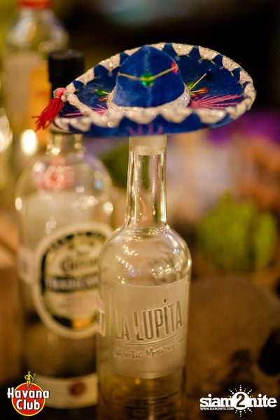 La Lupita at Revolucion Cocktail — photo 15