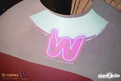 Polycat at Wine Bridge Plus — photo 10
