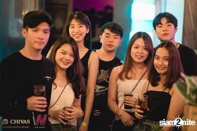 Polycat at Wine Bridge Plus — photo 12