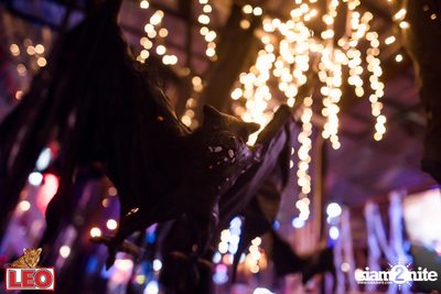 Halloween Party กับ Paradox ที่ ซิงค์ รังสิต (อัลบั้มที่ 2) — photo 14