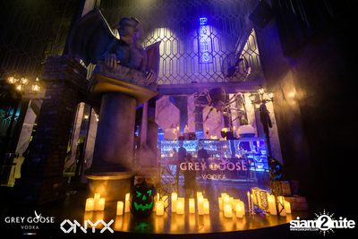 ONYX & Grey Goose present Blue Moon Halloween Party — photo 2