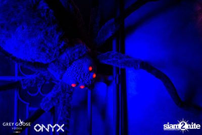 ONYX & Grey Goose present Blue Moon Halloween Party — photo 5