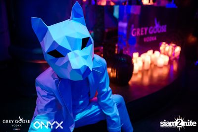 ONYX & Grey Goose present Blue Moon Halloween Party — photo 48