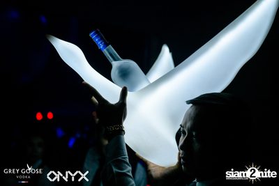 ONYX & Grey Goose present Blue Moon Halloween Party — photo 81