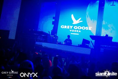 ONYX & Grey Goose present Blue Moon Halloween Party — photo 123