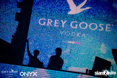 ONYX & Grey Goose present Blue Moon Halloween Party — photo 124