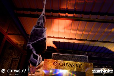 Getsunova x V Violette - Halloween XV Night Party at Wine Bridge — photo 35